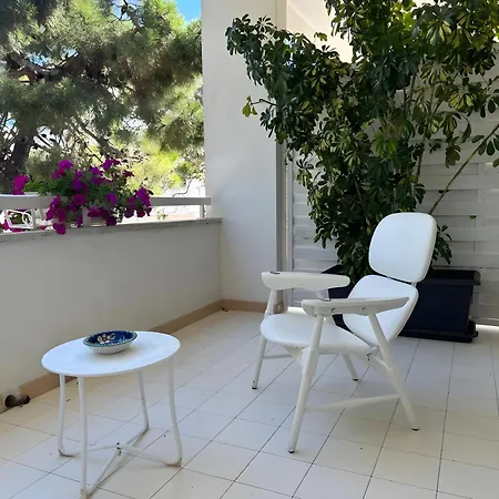 Teresa Maria Porto Cesareo