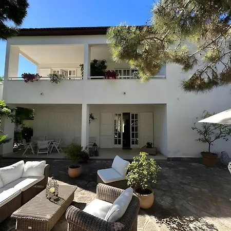 Teresa Maria Porto Cesareo